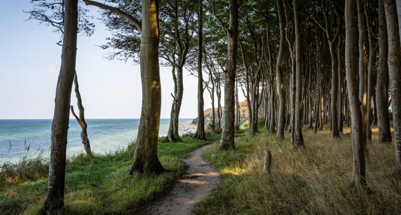 Rad- und Wanderwege Rad- und Wanderwege