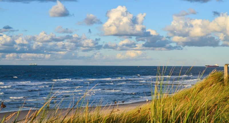 Dünen am Strand Dünen am Strand